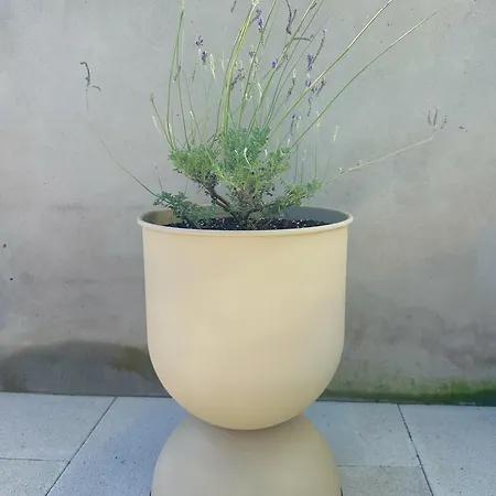 Casa L, Ocean View Pool Вилла